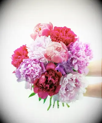 Fresh bouquet of flowers