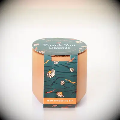 Daisy seed sprouting kit in an orange pot thank-you gift