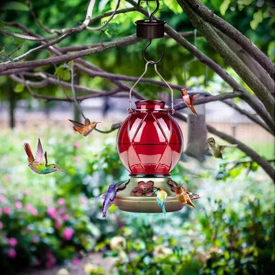 Glass hummingbird feeder thank you gift
