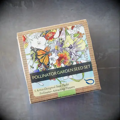 Pollinator garden seeds from Terrain