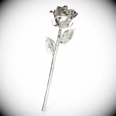 Silver dipped forever rose for five year anniversary gift