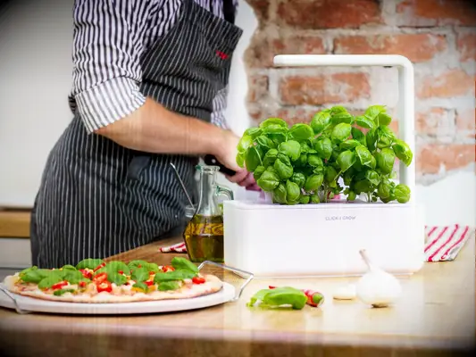 Smart-technology indoor garden five year anniversary gift