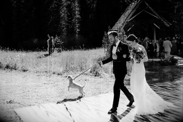 Charlie McDowell and Lily Collins with their dog on their wedding day