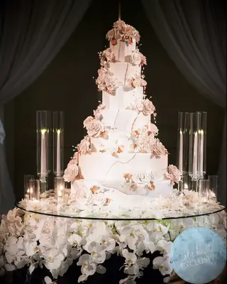 Nicole Williams WAGS wedding album exclusive