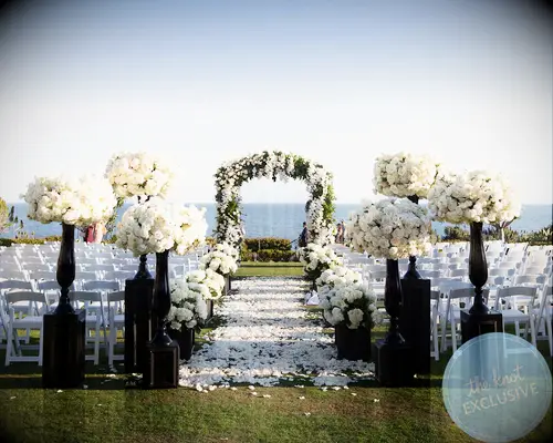 Nicole Williams WAGS wedding album exclusive