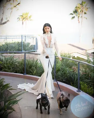 Nicole Williams WAGS wedding album exclusive