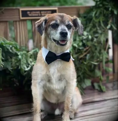 Roberts and Amber Laign