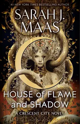 House of Flame and Shadow book cover