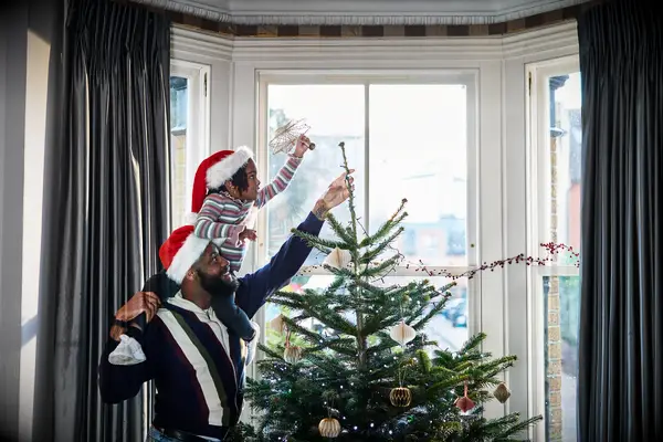 Christmas Tree Captions