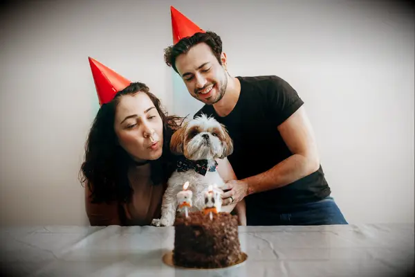 Young adult couple celebrating pet dogs birthday at home with cake