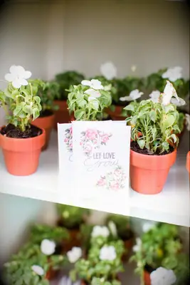 Potted plant gift favors for bridal shower