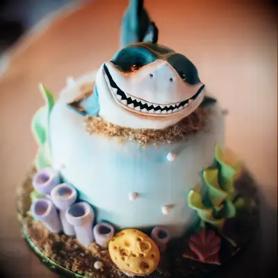 Shark-themed engagement cake