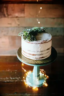 Single-tier naked engagement cake decorated with succulents