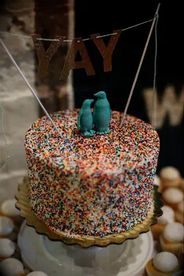 Engagement cake covered with sprinkles with a penguin cake topper