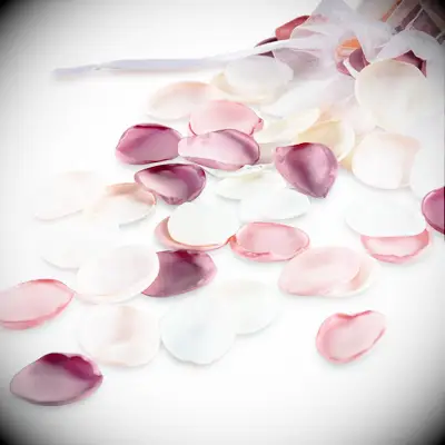Pink, white and purple floral petals