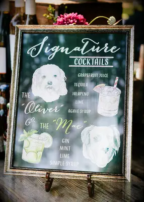Pet-inspired cocktails at couple shower