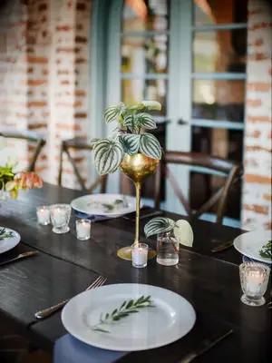 A leafy green centerpiece.