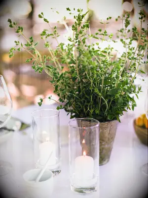 A herbaceous centerpiece.