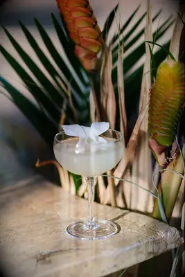 Lychee martini bridal shower cocktail 