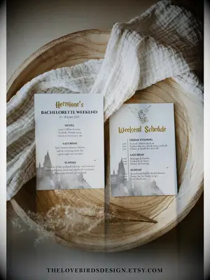 Hogwarts design in background with gold details and Hedwig graphic