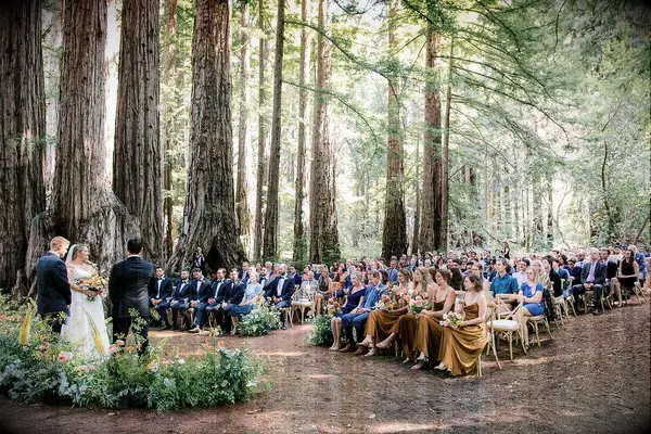 A couple wed beneath the beneficent boughs of the redwood forest.