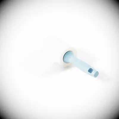 Handy lint roller for your wedding emergency kit from Target