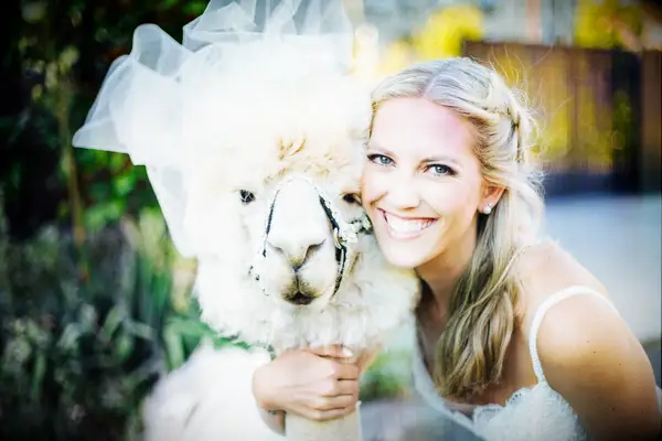 Bride with llama
