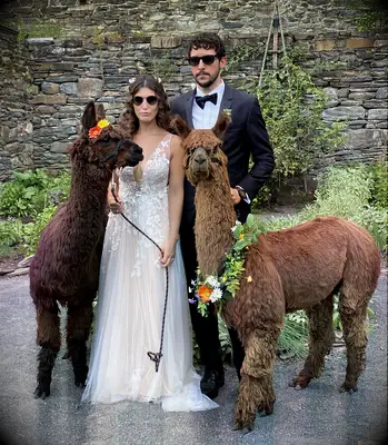 Couple wearing sunglasses with llamas