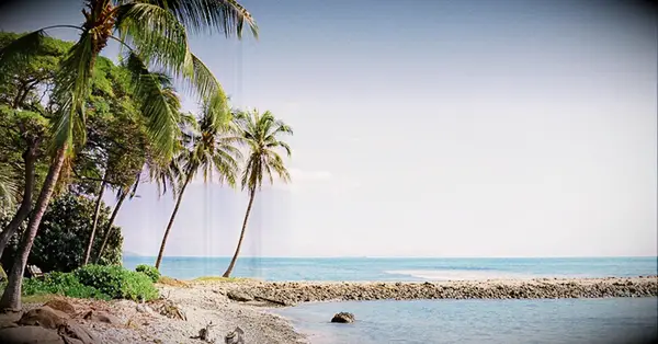 wedding planning includes thinking ahead about your honeymoon