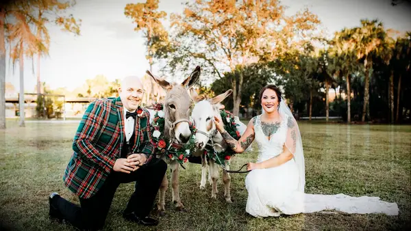 Couple kneeling down beside donkey