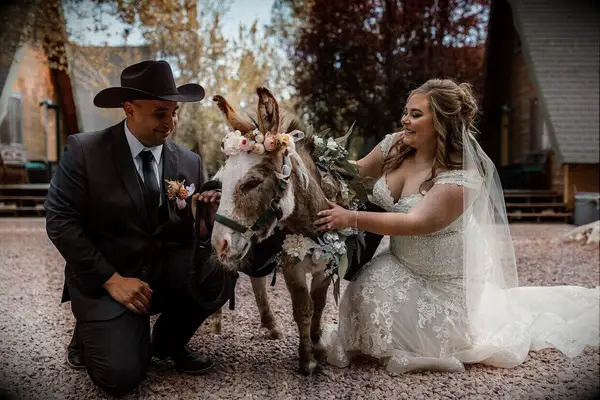 Couple kneeling down and petting donkey