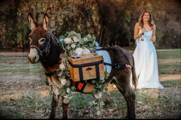 Bride with a beer from the beer donkey