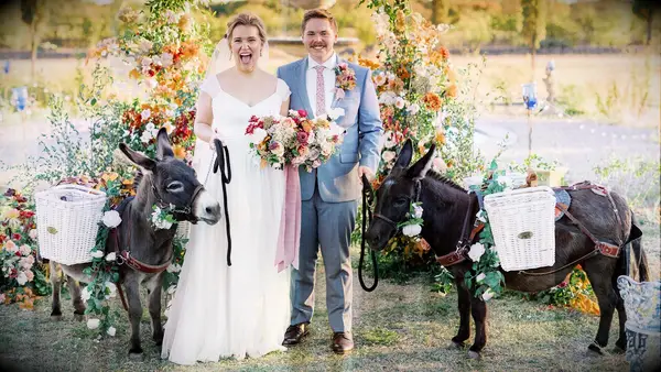 Que savoir d'un âne de mariage (et pourquoi vous devriez en louer un)