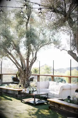 Outdoor wedding reception setting. 