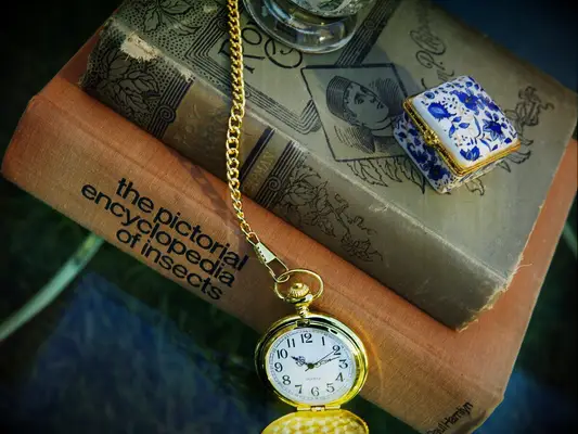 alice in wonderland wedding ideas book centerpiece