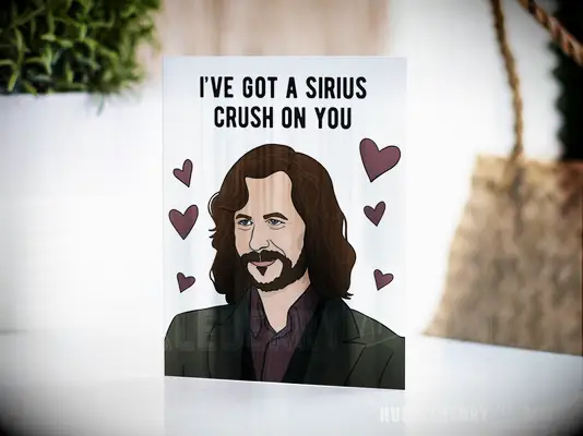 Harry potter valentine