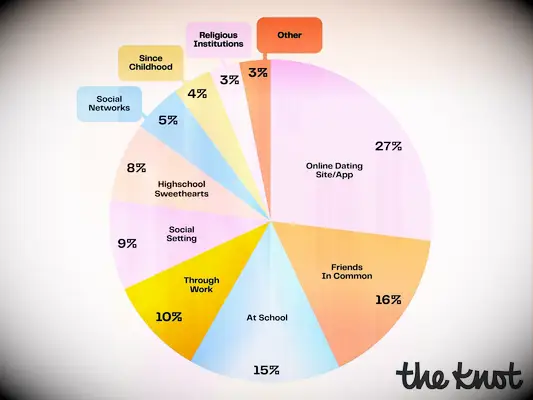 Pie chart breakdown of how real couples met their spouse