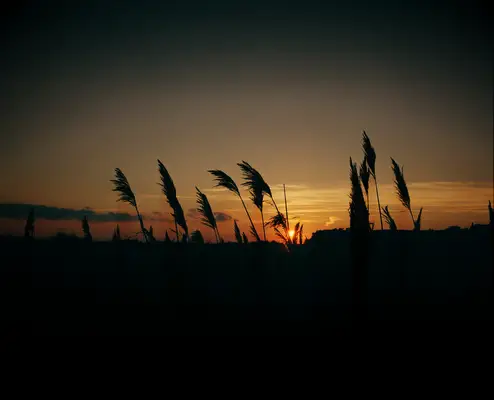 Le Guide complet de la fête de Bachelorette Hamptons