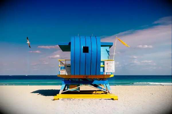 miami beach lifeguard stand blue home