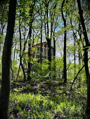 Book a romantic weekend at The Hideaway Treehouse