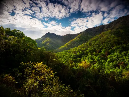 Great Smoky Mountains National Park, Gatlinburg,TN