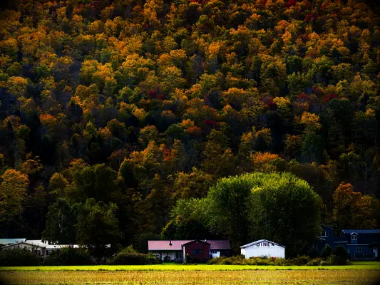 Autumn in Catskill in New York