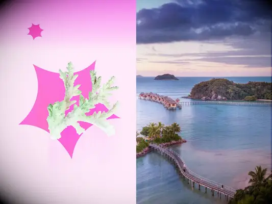 Likuliku Lagoon Resort Fiji Honeymoon Package