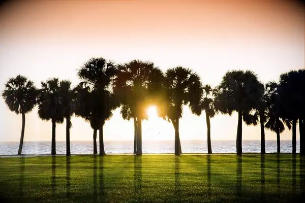 Vinoy park sunrise in St. Petersburg, Florida