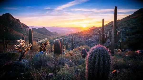 Scottsdale, Arizona 10 year anniversary trip idea