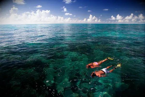 Floating above a coral reef 