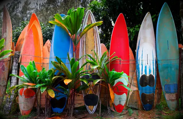 Surfboard fence in Maui Hawaii