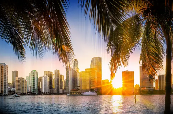 Miami, Florida skyline