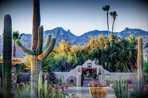 Hacienda Del Sol Guest Ranch Resort