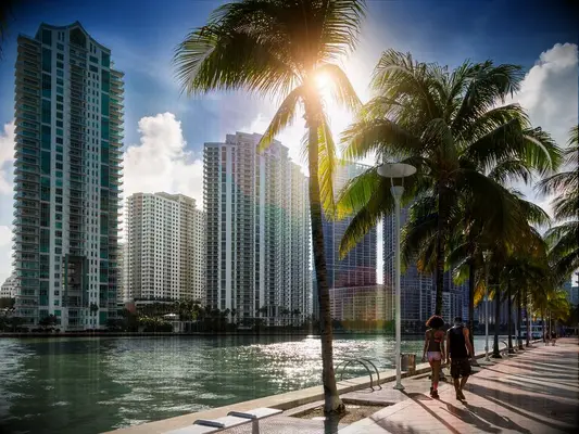 Couple walking along the water beside palm trees